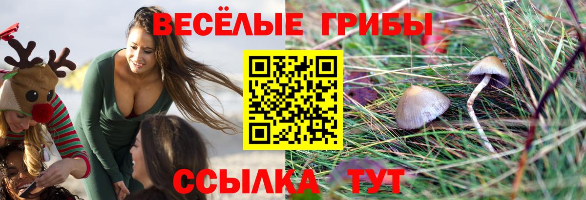 Псилоцибиновые грибы мицелий  Вход с VPN  Симферополь 