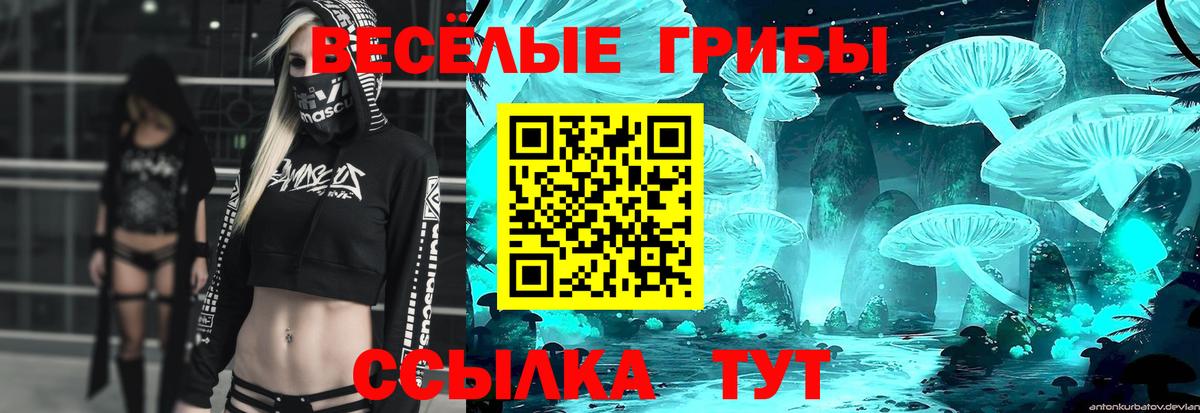 Галлюциногенные грибы мицелий Симферополь